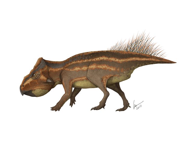 Leptoceratops