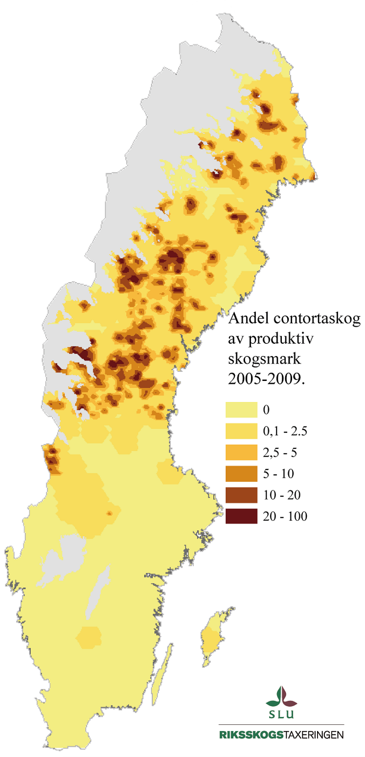 Andel contortatall, karta, Sverige