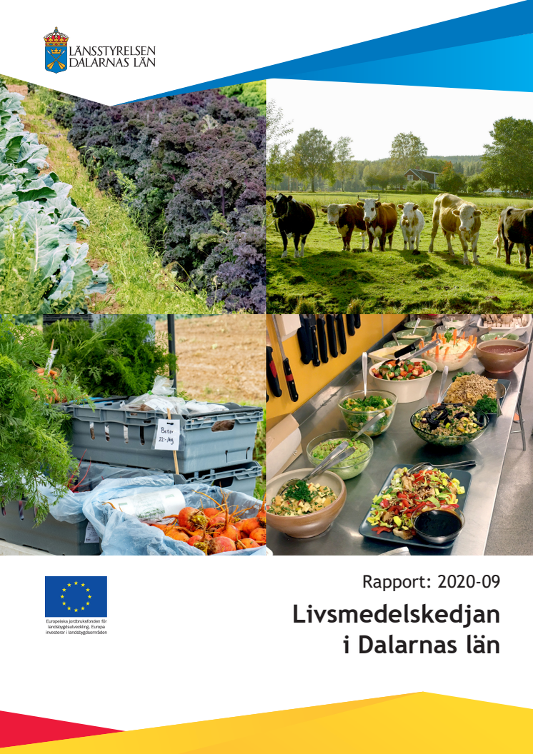 2020-09 Rapport_Livsmedelskedjan i Dalarnas lan.pdf