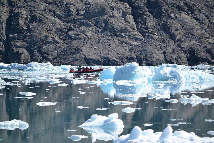 Greenland - Qoroq Ice Fjord Shore Tour in Narsarsuaq