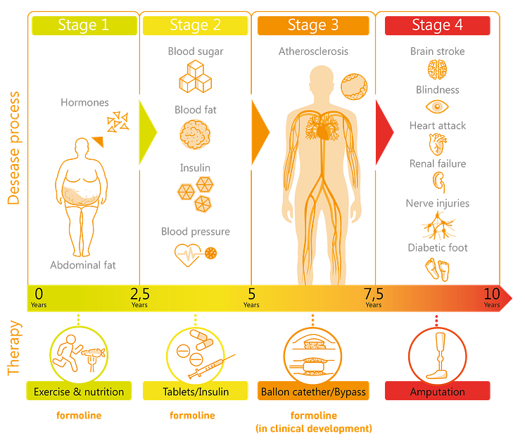 Grafik Metabolisches Syndrom 4Phasen 2023_09.png