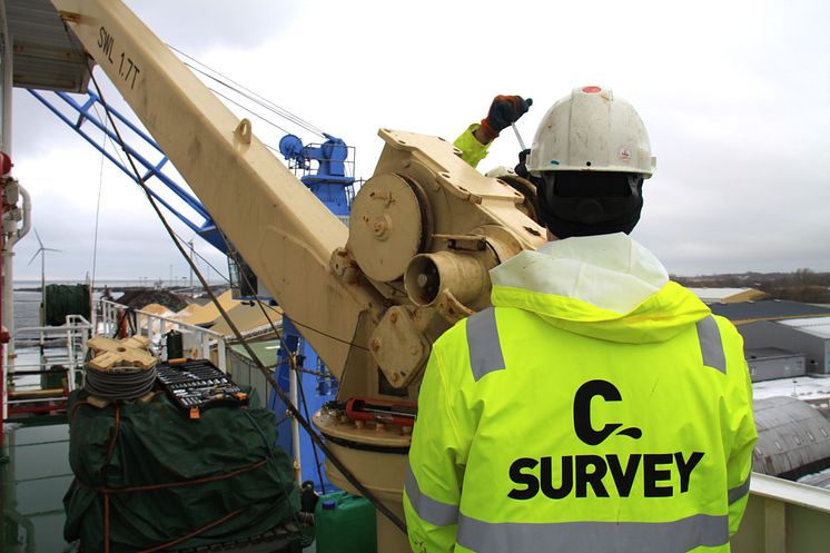 C Survey