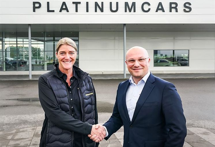 Platinum Cars3 .jpg
