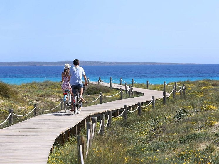 bicis ibiza.jpg