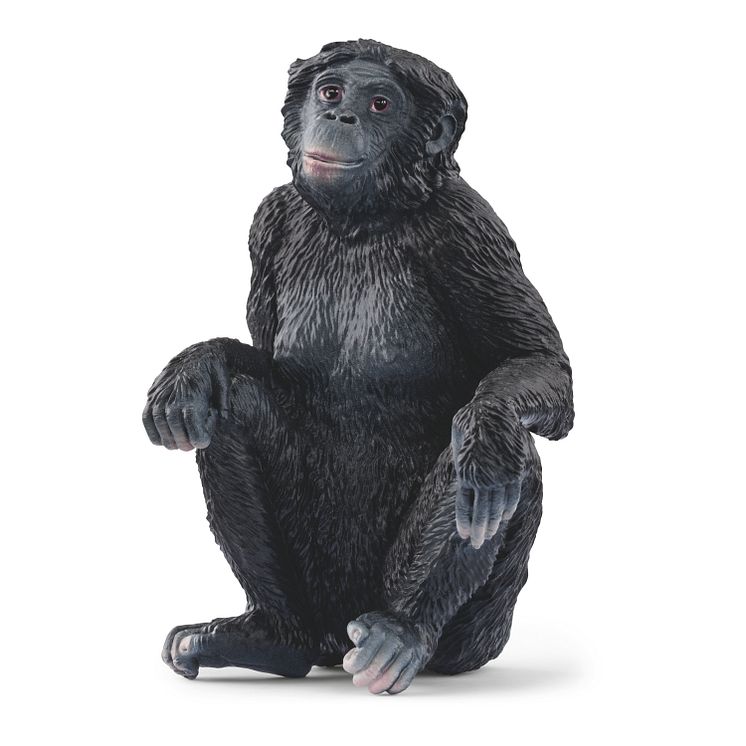 14875_Wild Life_Bonobo Weibchen (c)Schleich