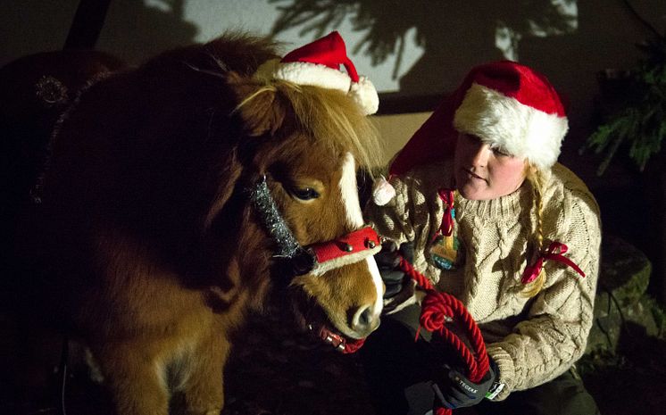 Jul i Djurparken