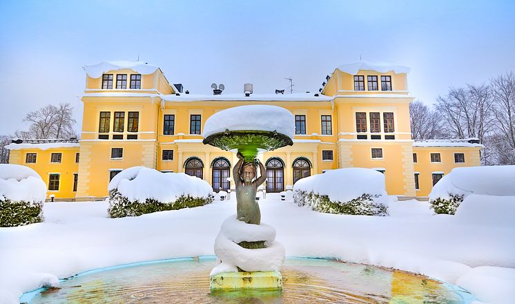 Slottets baksida i vinterskrud