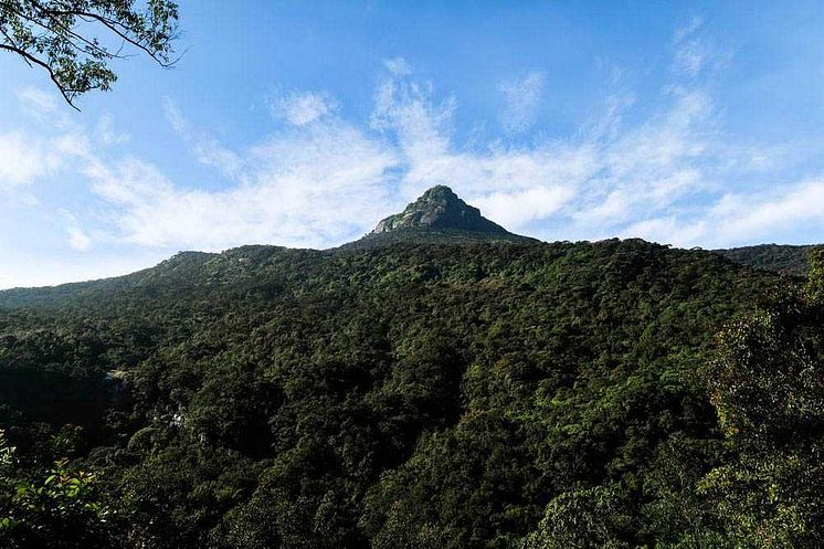 Adam's Peak