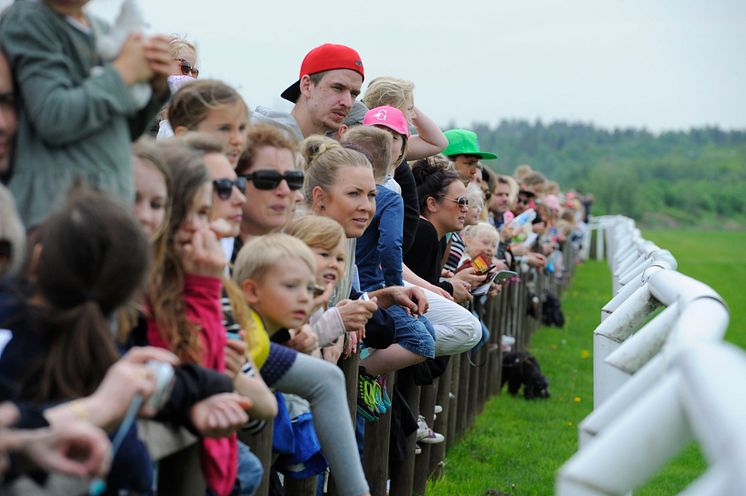 Göteborg Galopp