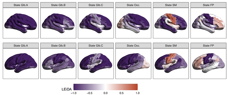 The study identified six different brain states and that brain state dynamics at birth are linked to developmental outcomes in early childhood