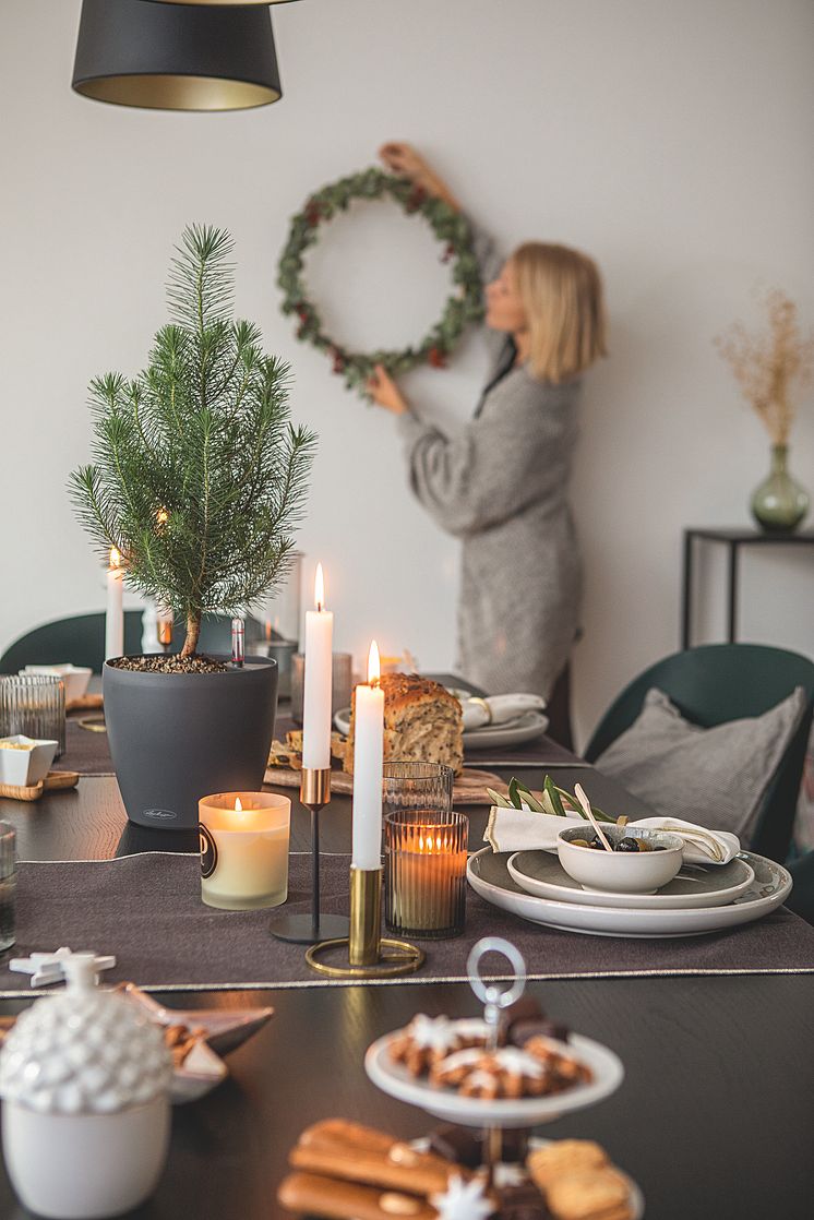 Weihnachtsdekoration mit lebendigem Grün