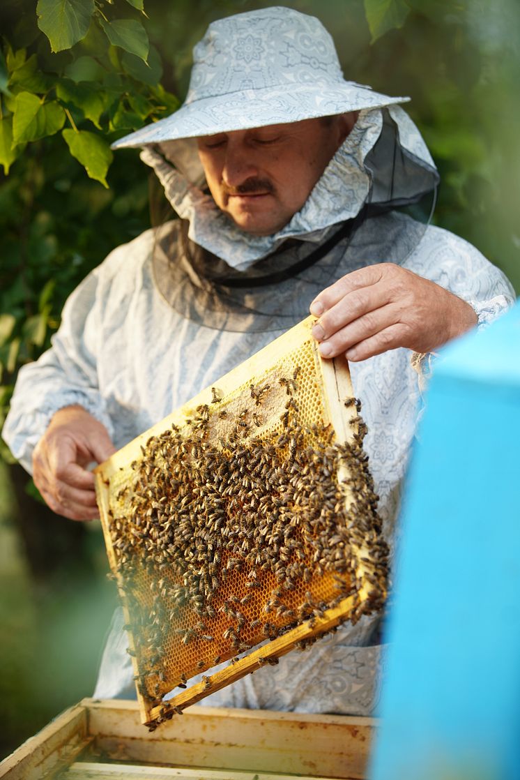 Nemiroff_local harvested honey (2)