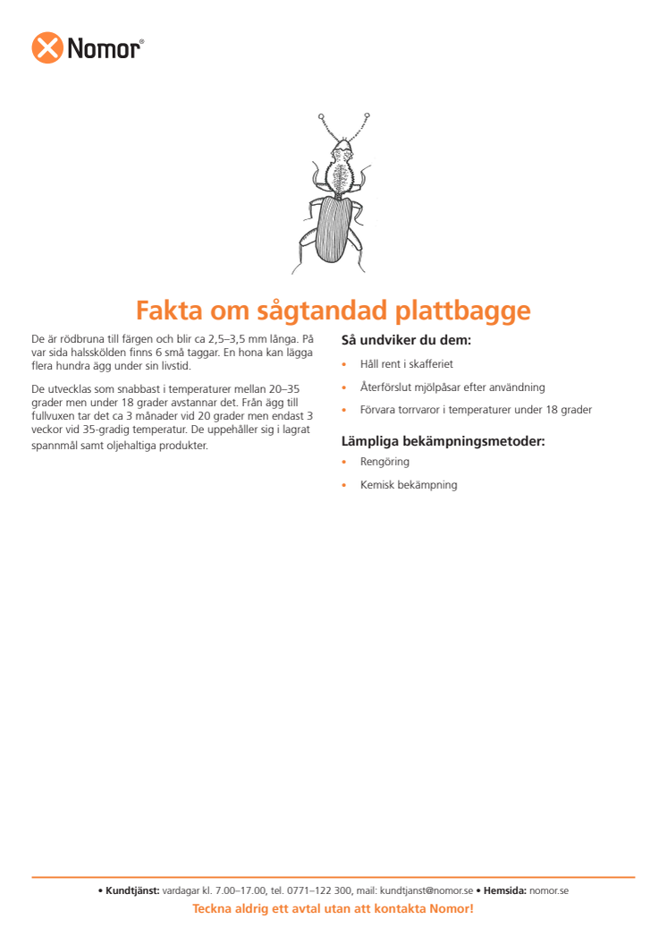 Fakta om sågtandad plattbagge