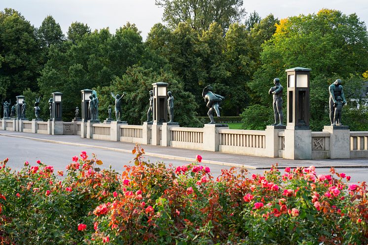 The Vigeland Park The Bridge