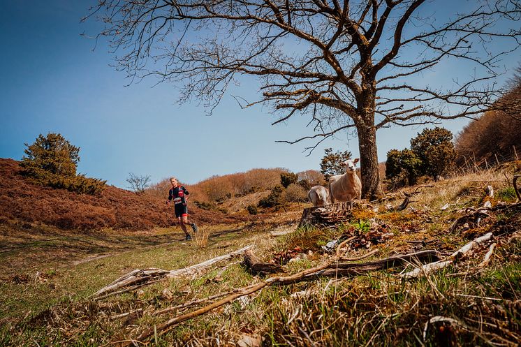 XTERRA - Oplevelsen er lige så vigtig som tiden