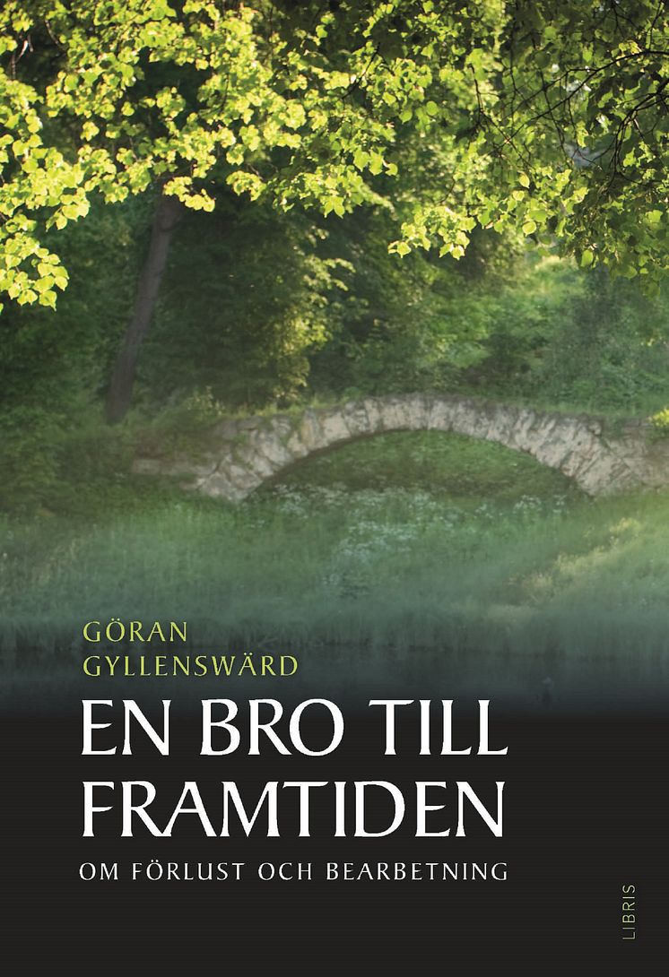 Omslagsbild: En bro till framtiden (Göran Gyllenswärd)