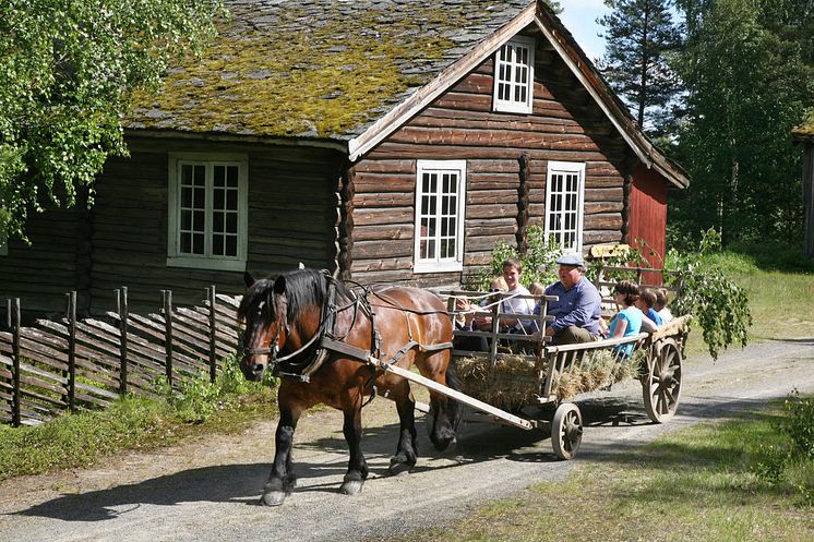 hest_og_vogn_sommer