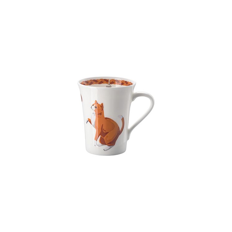 HR_My_Mug_Collection_Cats_&_Dogs_European_Shorthair_big