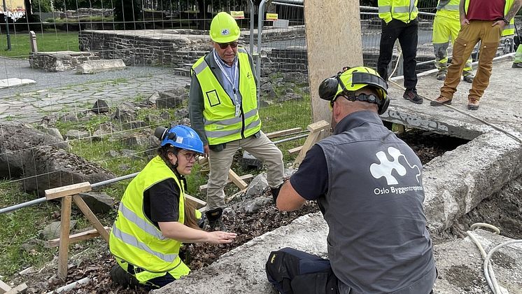 Bilde 1-Foto-Marius Morstøl Jenssen - Oslo kommune.JPG