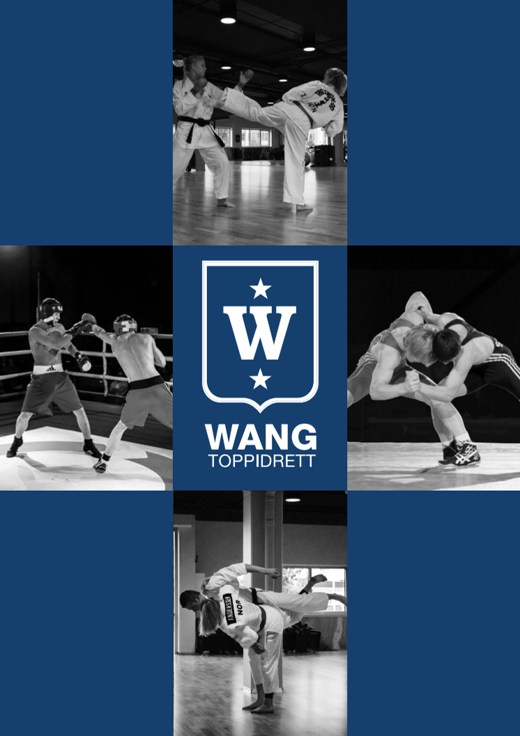 Brosjyre for Wang Toppidrett 