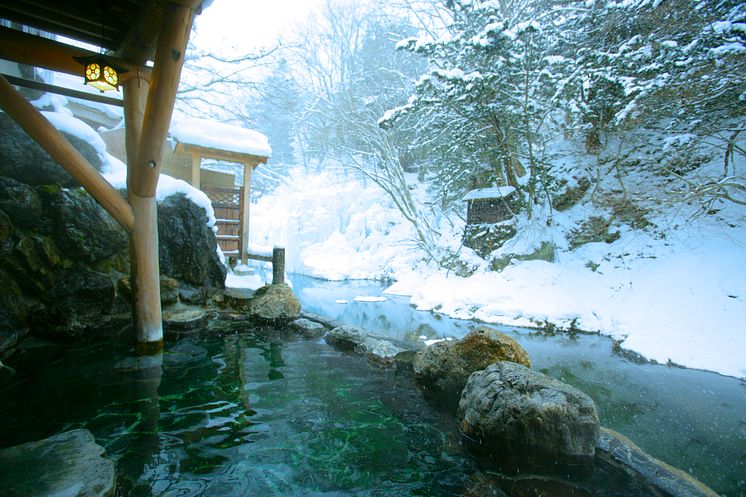 Honke Bankyu(5)  Fujikura no Yu outdoor bath