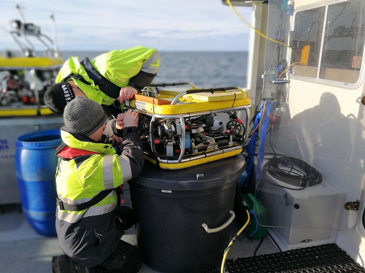 Saneringen av miljöfarliga vrak inleds: Nu töms fiskefartyget Thetis på olja