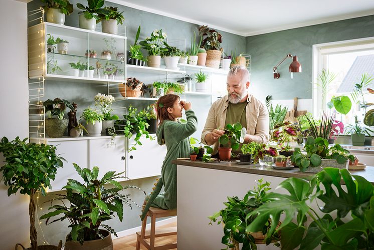 För ett växande liv Foto Plantagen (1)