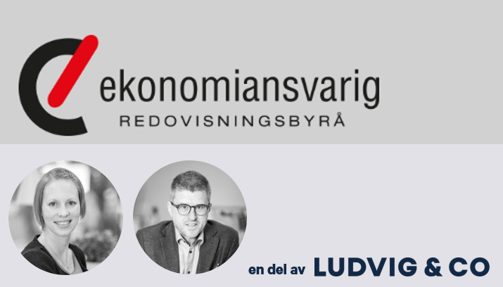 Ekonomiansvarig en del av Ludvig & Co