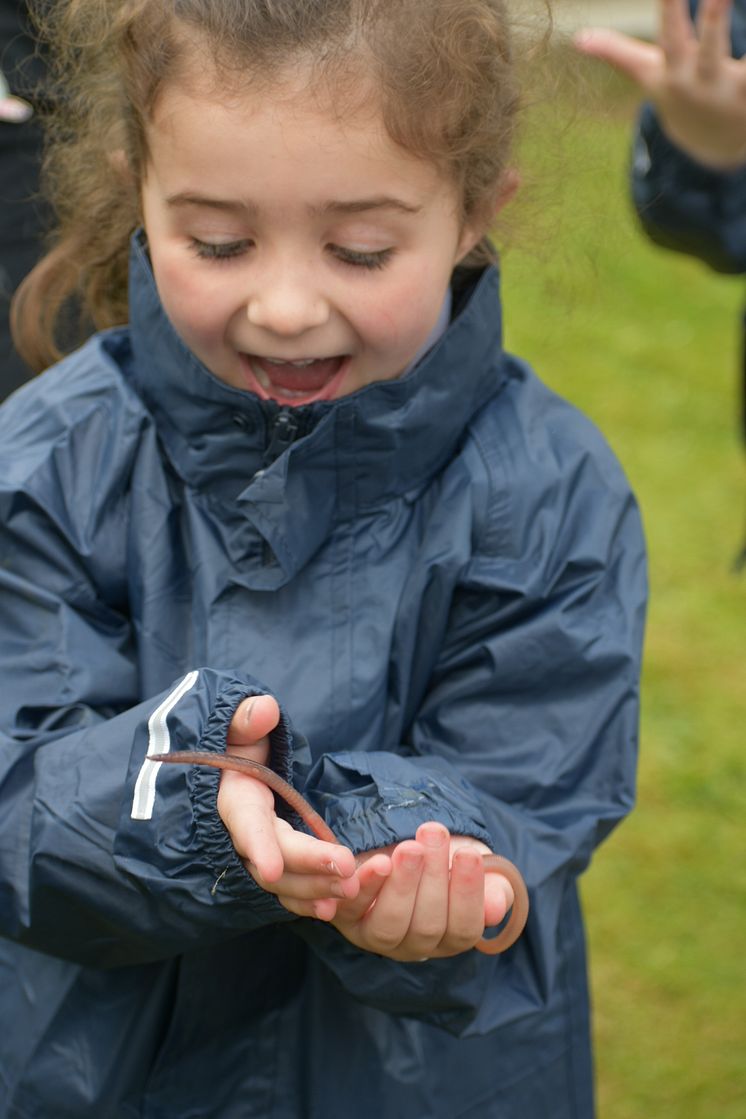 Ambassador Schools - Wonderful worm. Picture by Fiona Stubbs