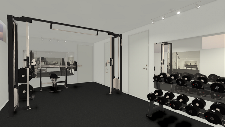 3D_Hanna_Oberg_Gym_img2.png