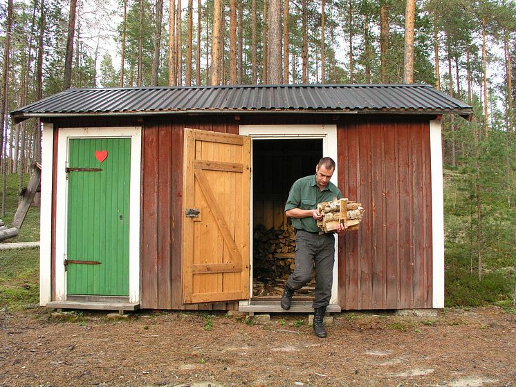 Skogssork i vanlig vedbod kan sprida sorkfeber