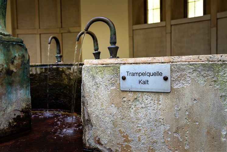 Bad Pyrmont_Trampelquelle im Kurpark(c)TMN_Alexander Kassner.jpg