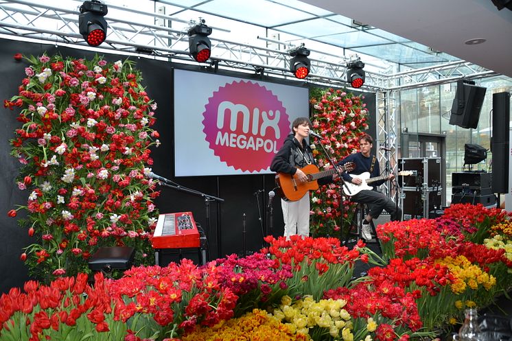 Nea uppträder på Blomsterfrämjandets och MixMegapols tulpankonsert