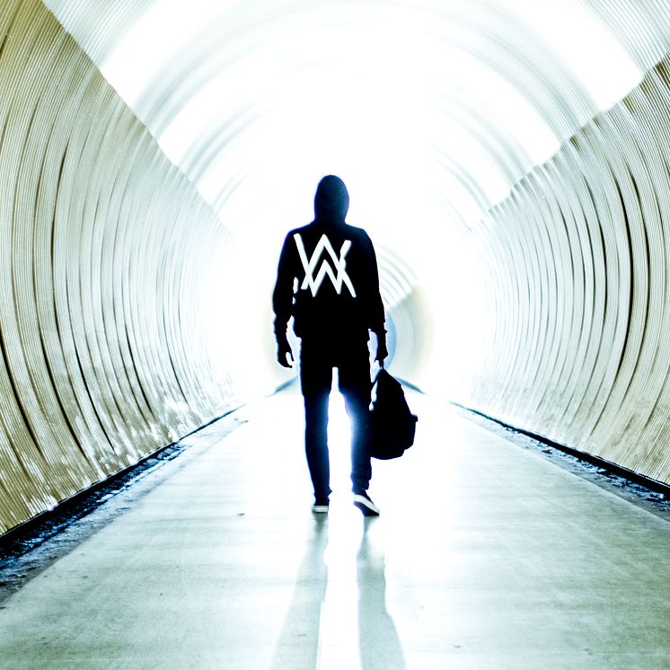 Alan Walker "Faded" artwork