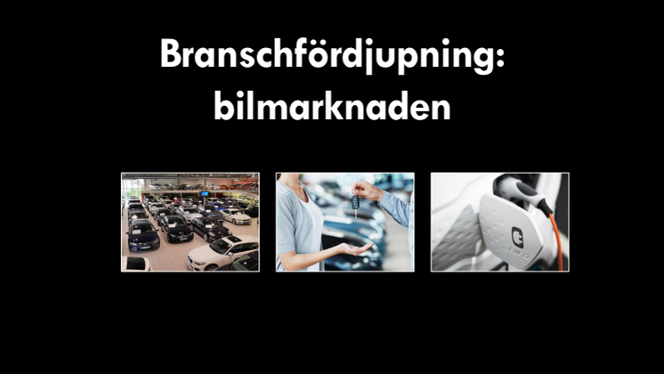 Fördjupning: Motorfordonsbranschen