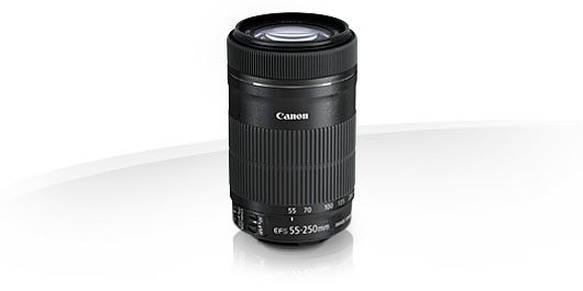 Canon EF S 55 250mm f/4-5.6 IS STM  