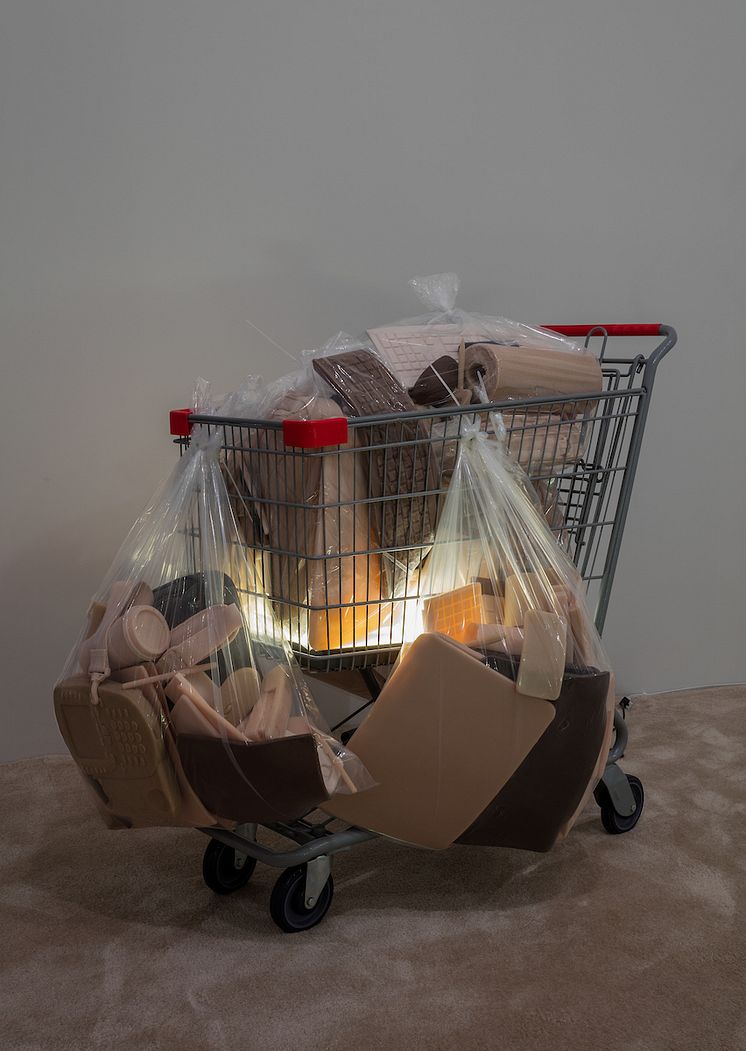 Josh Kline, Poverty Dilation, 2016- Private Passion