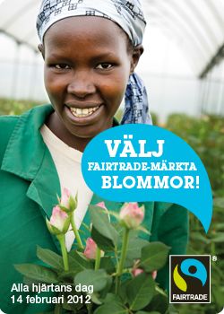 Välj Fairtrade-blommor på alla hjärtans dag