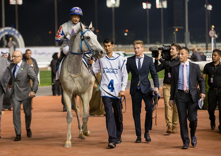 Plata O Plomo (S Berneklint-C lopez) vinner på Meydan 2020-01-30