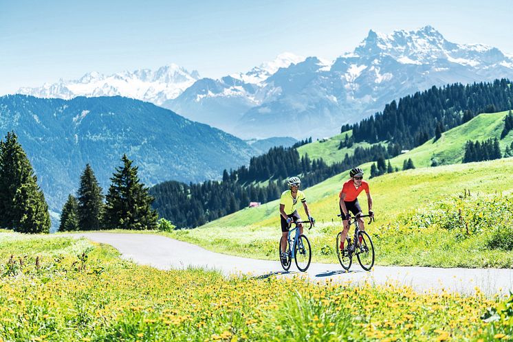 Col de la Pierre du Moëllé©PatitucciPhoto