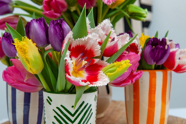 Färgglada tulpaner i stilrena vaser