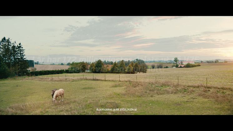 Sjungande hästar - nytt reklamkoncept