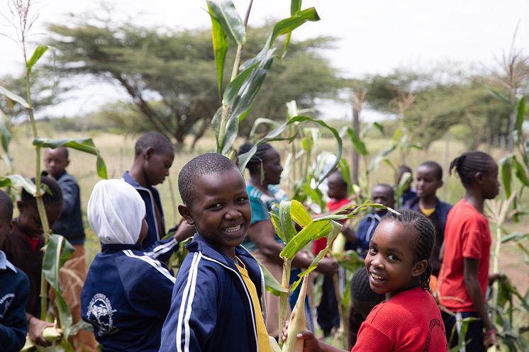 Biodynamischer Schulgarten Steiner Schule Mbagathi Kenia_Lin Bautze