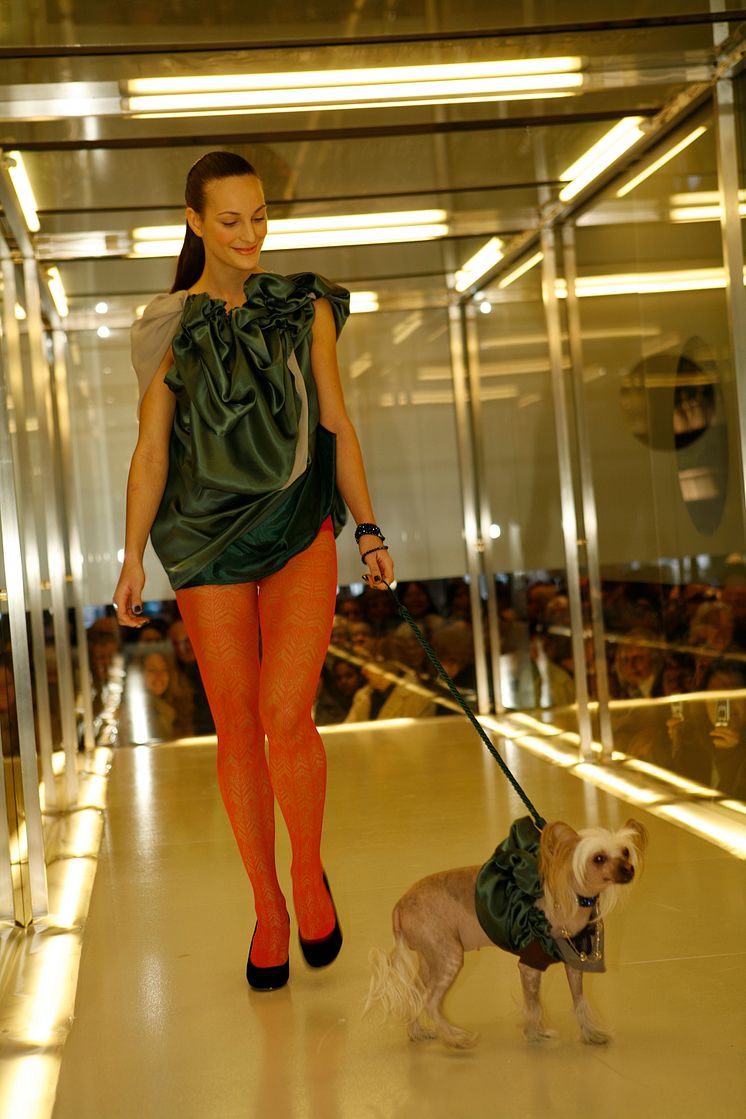 Dogs On Catwalk - NK Stockholm