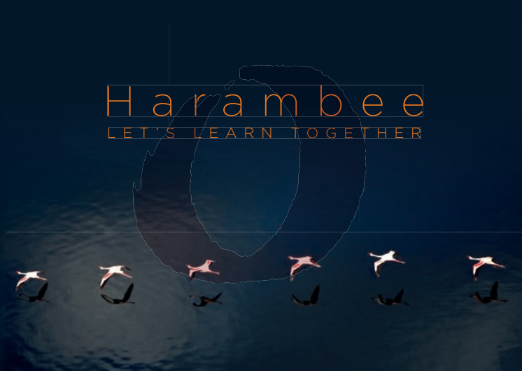 Harambee - Let's Work Together