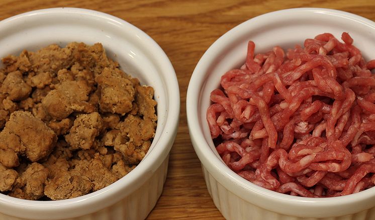 mycoprotein_vs_mince-TL-960