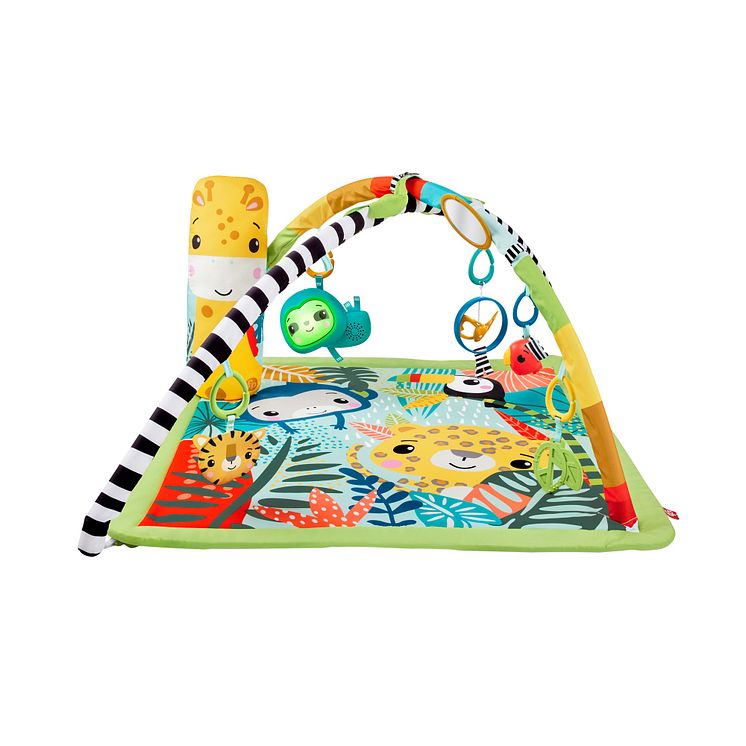 HJW08_Fisher-Price_Rainforest_2