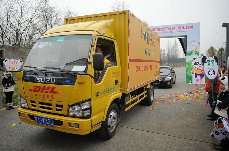 DHL Express transport af pandaer