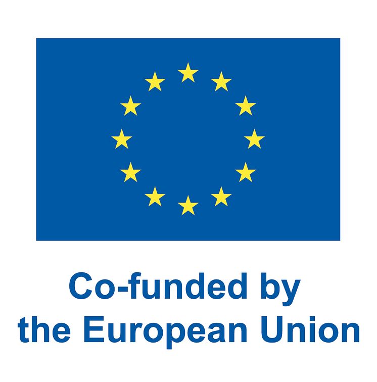 EN V Co-funded by the EU_POS (1)