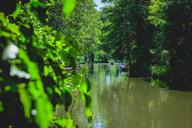 Lübbenau_Spreewald_Lübbenau_Bootstour_auf_einem_Kanal_im_Spresswald